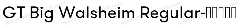GT Big Walsheim Regular字体转换